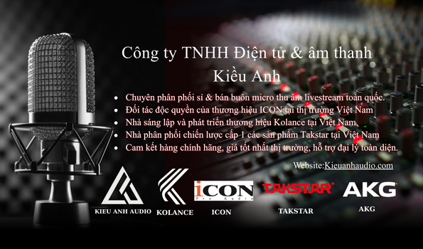 Công Ty Tnhh Điện Tử & âm Thanh Kiều Anh